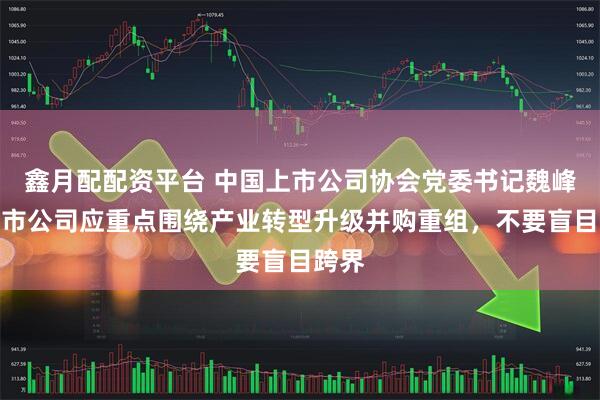 鑫月配配资平台 中国上市公司协会党委书记魏峰：上市公司应重点围绕产业转型升级并购重组，不要盲目跨界