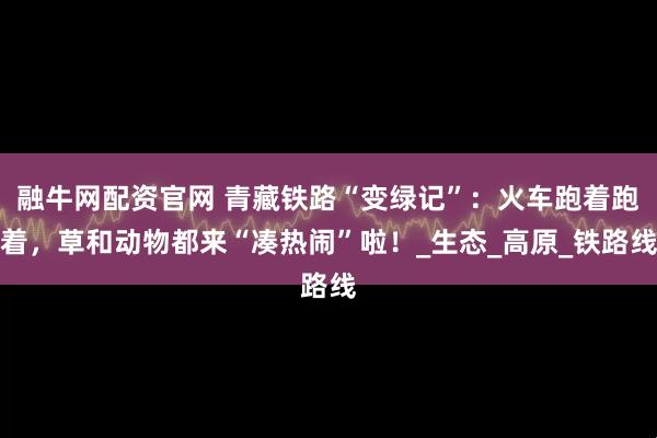 融牛网配资官网 青藏铁路“变绿记”：火车跑着跑着，草和动物都来“凑热闹”啦！_生态_高原_铁路线