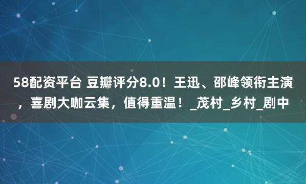 58配资平台 豆瓣评分8.0！王迅、邵峰领衔主演，喜剧大咖云集，值得重温！_茂村_乡村_剧中