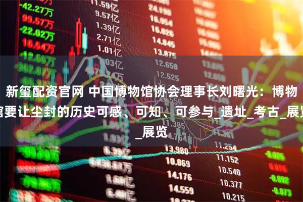 新玺配资官网 中国博物馆协会理事长刘曙光：博物馆要让尘封的历史可感、可知、可参与_遗址_考古_展览