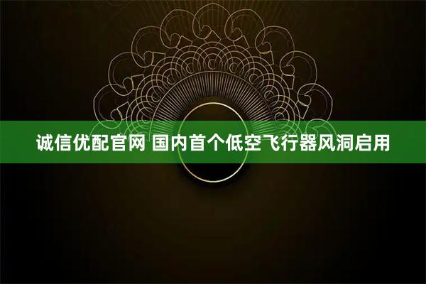 诚信优配官网 国内首个低空飞行器风洞启用